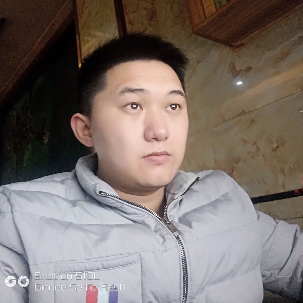 龙猫倾心孤独的照片