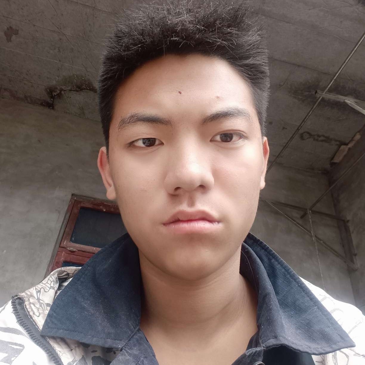 树叶爱烂漫的照片