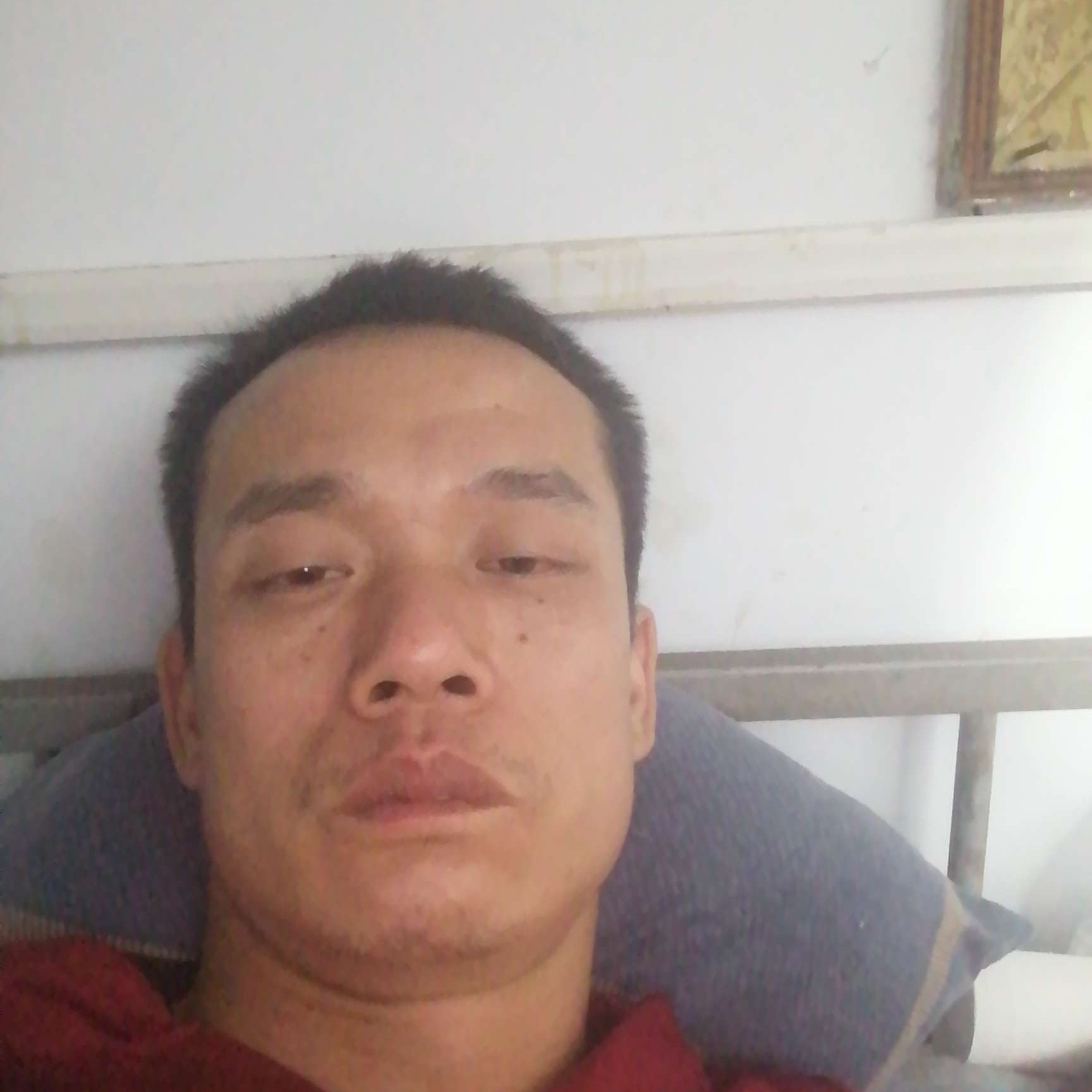 可乐闻苗条的照片