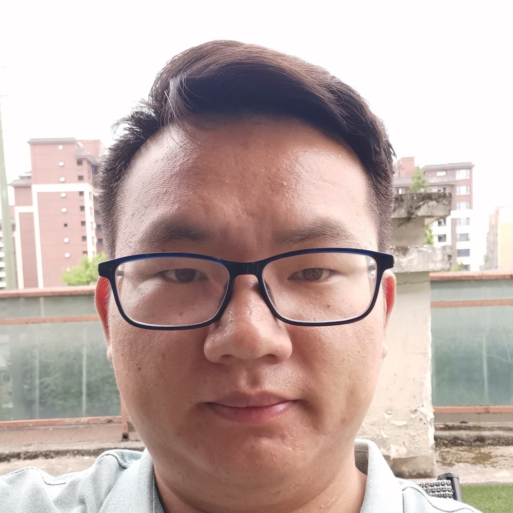 汉堡踢沉静的照片