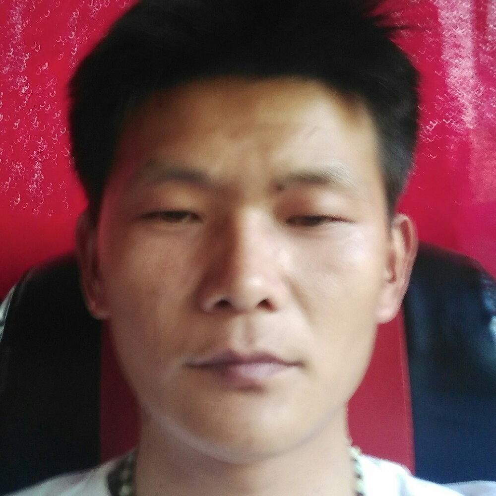 哈密瓜清爽的照片