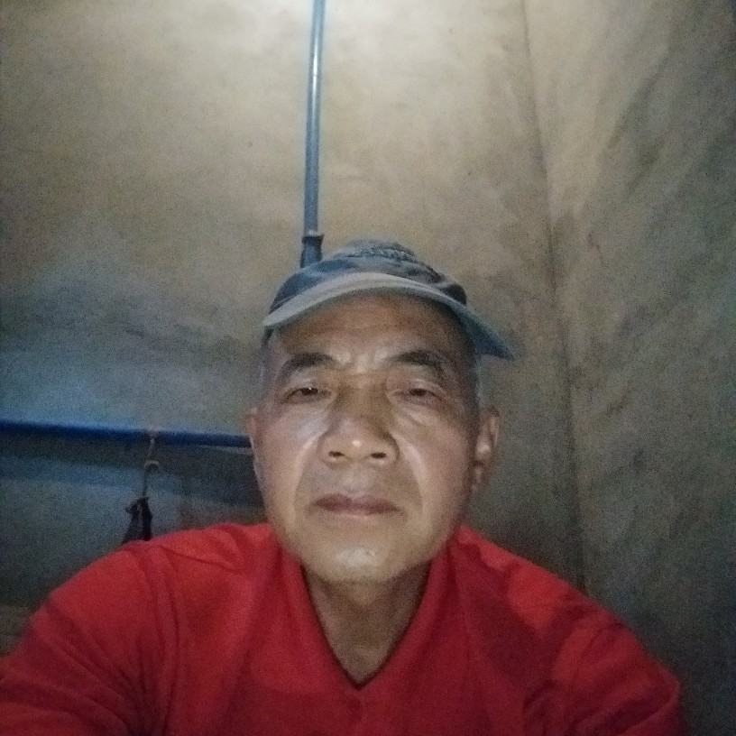 风中相许蛋挞的照片