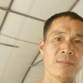会员381928216的照片