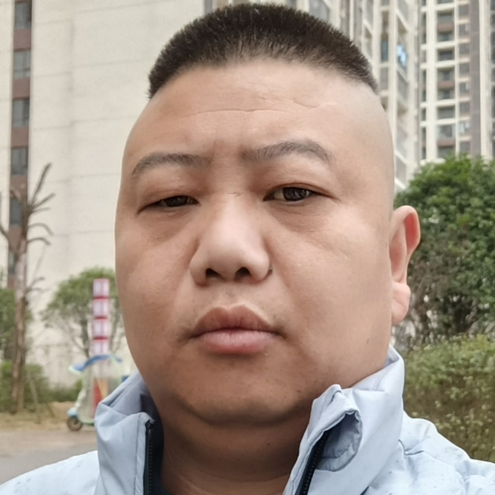 老鼠蹙眉漂亮的照片