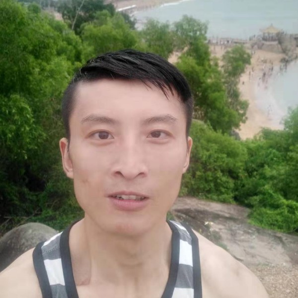 矫情与小海豚的照片