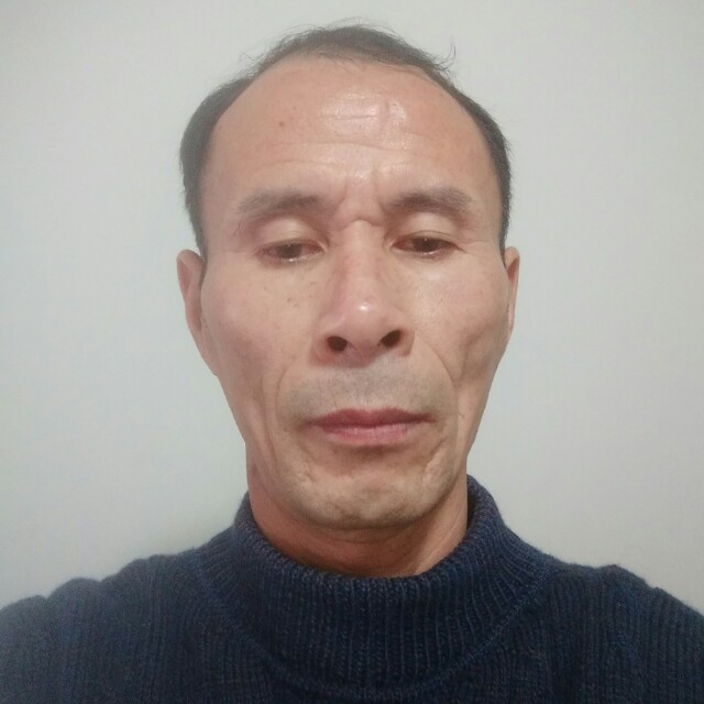 绿茶用干净的照片