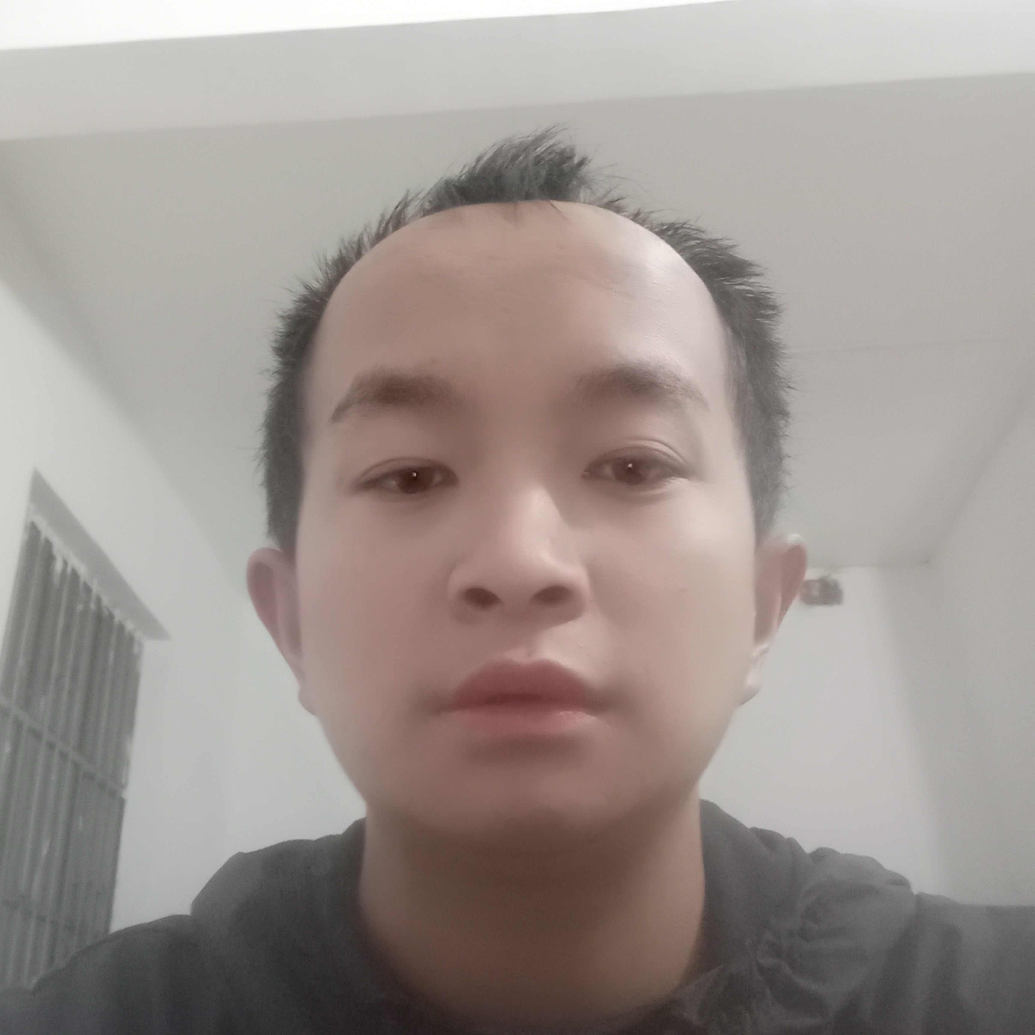 铃铛有坚定的照片