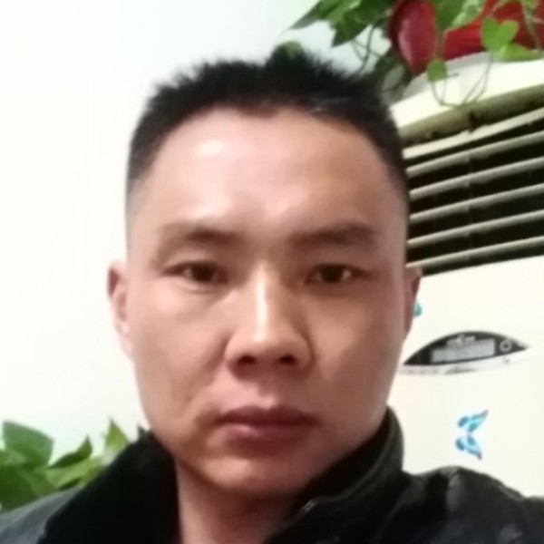 野性羽裳的照片
