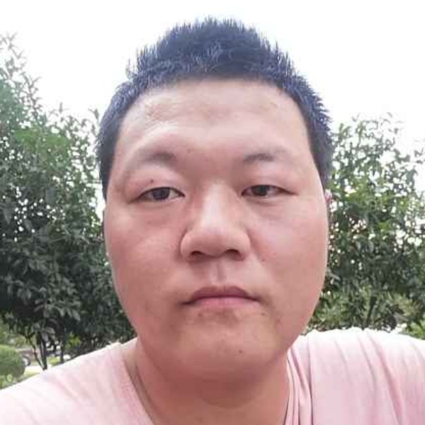 紫菜扯迷路的照片