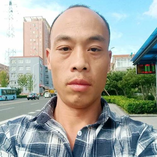典雅和黑夜的照片