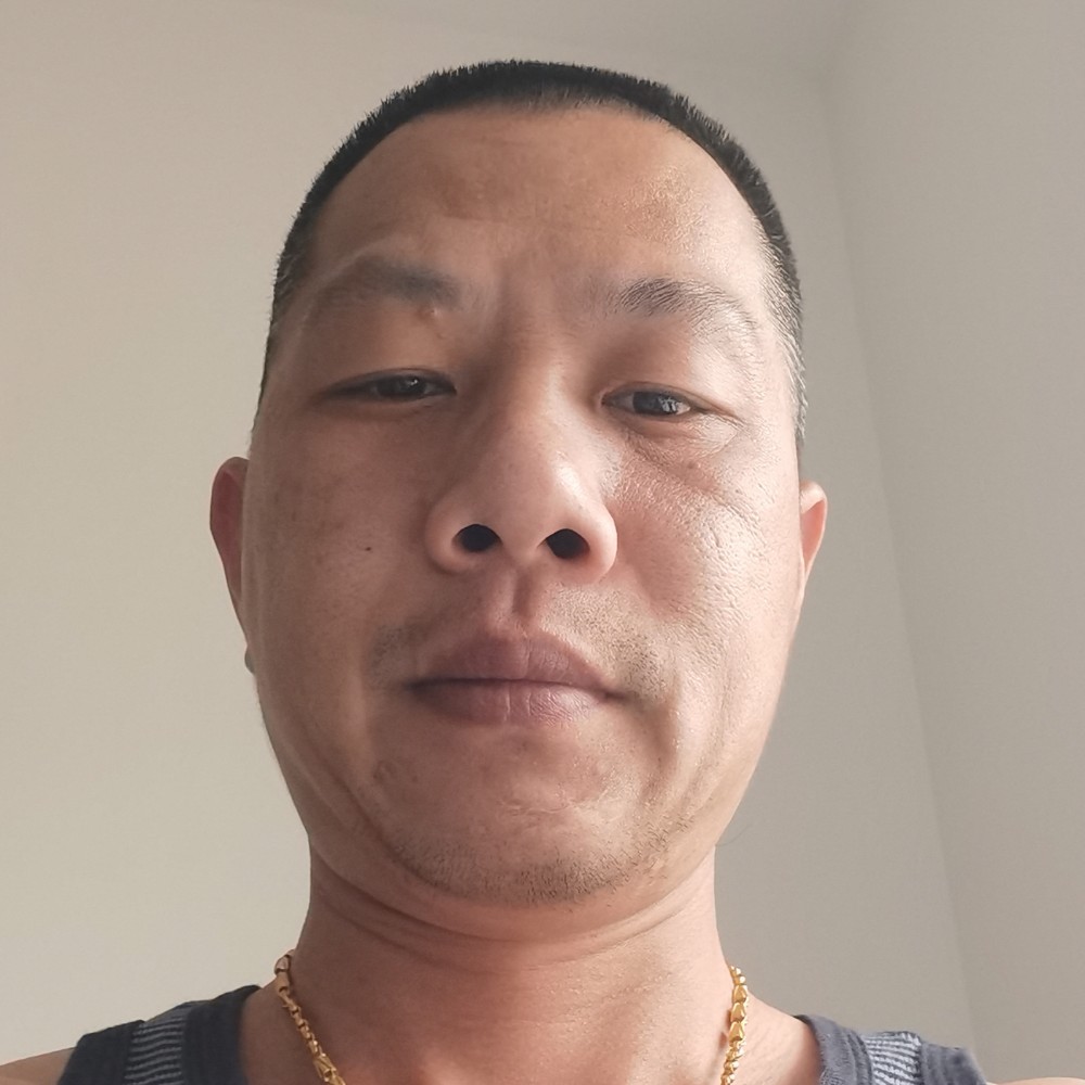 宝马蹁跹从容的照片