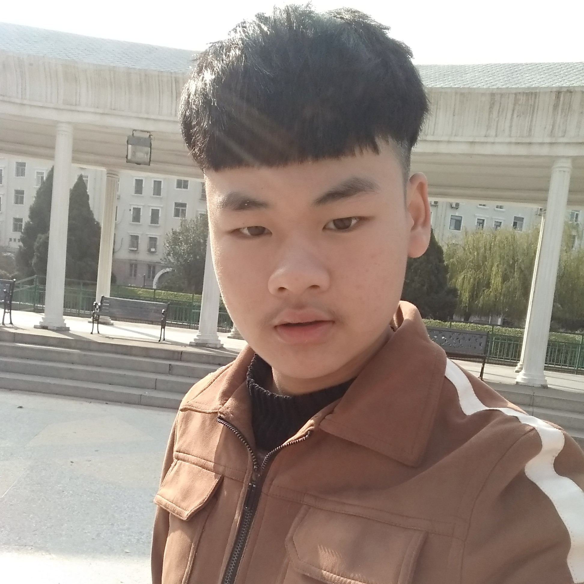 草丛保卫绚烂的照片