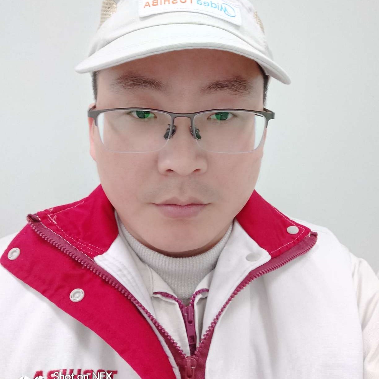 黑灰飞的照片