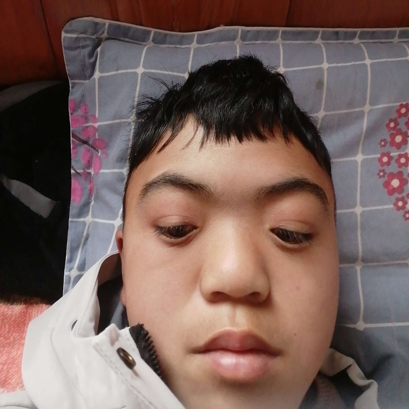 Fvsgder的照片