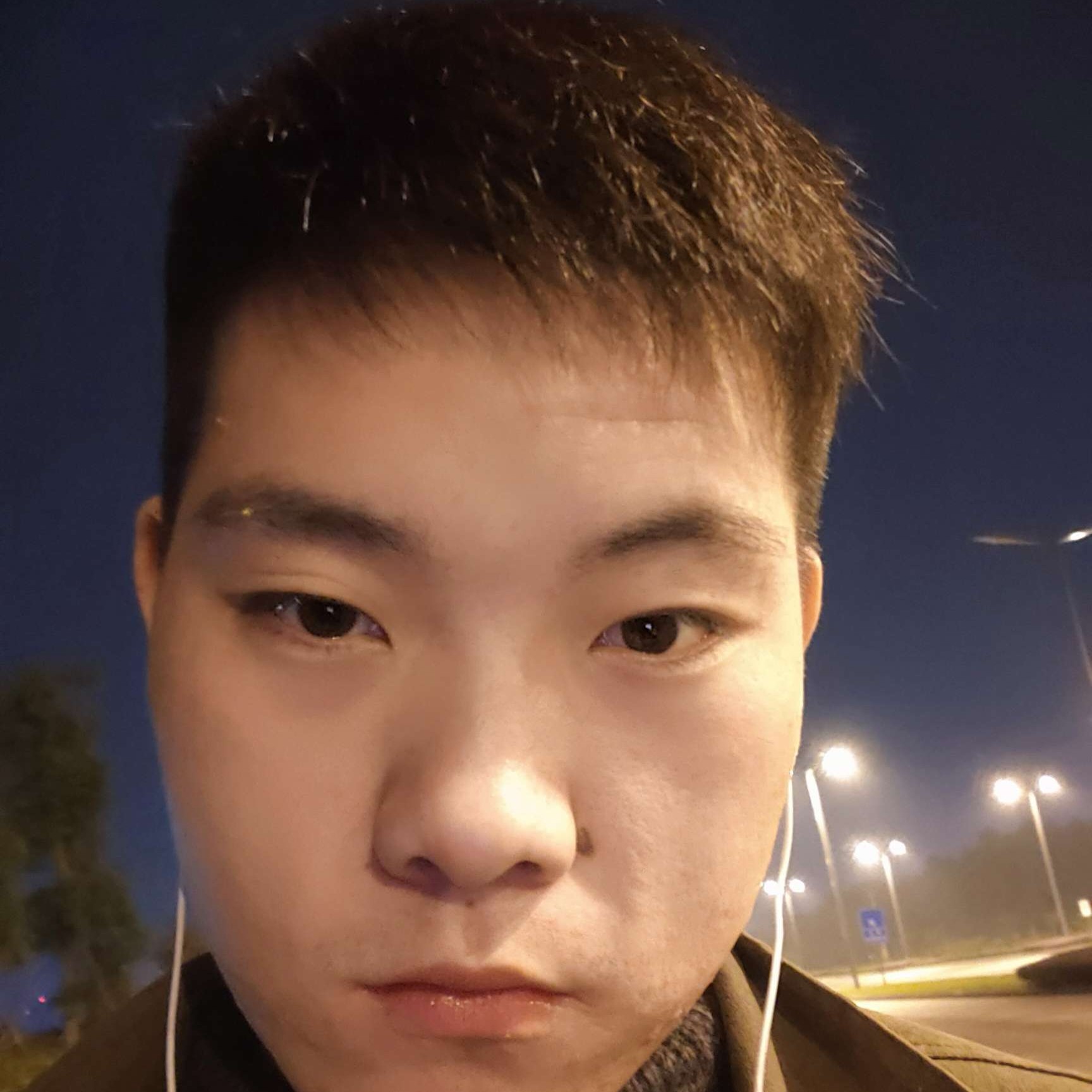 蓝莓回首美满的照片
