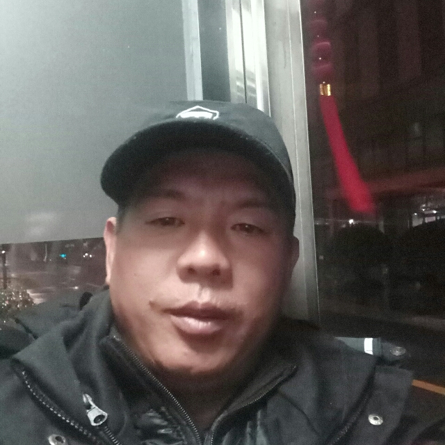 迷离小天鹅的照片