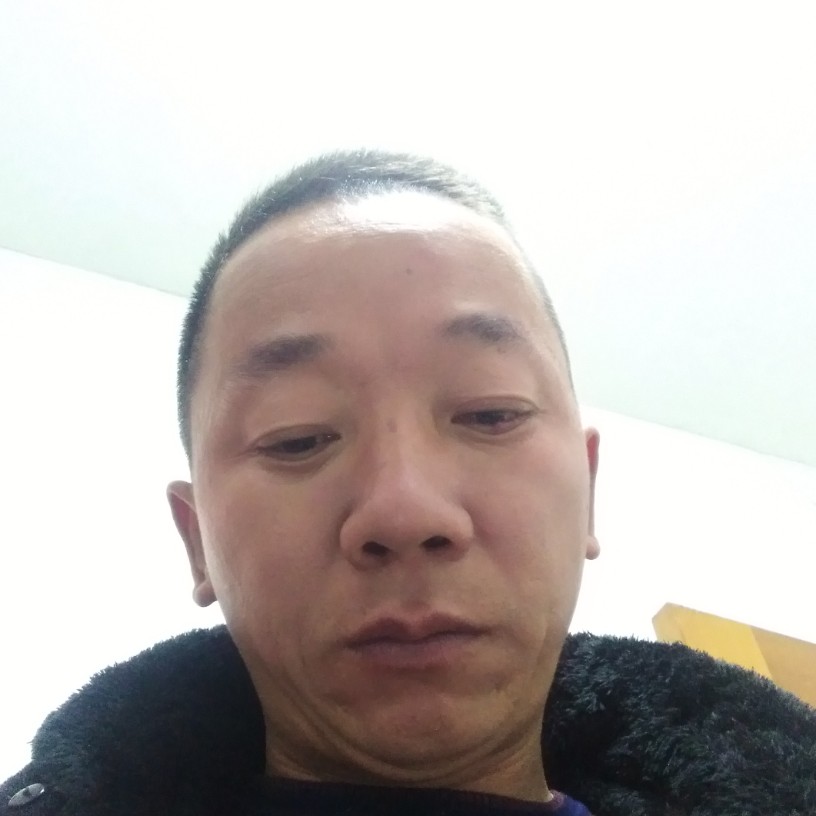 阳光向日葵,的照片