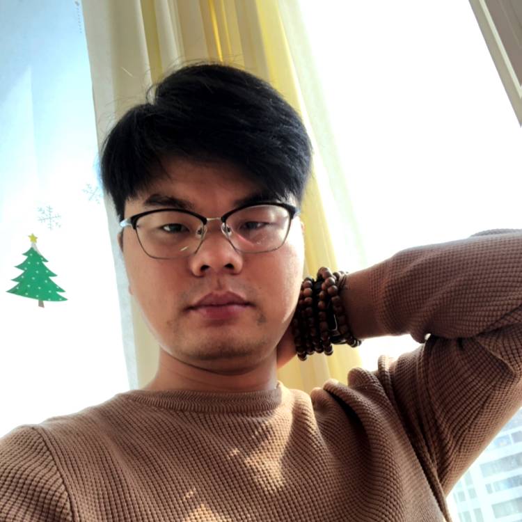 飞鸟儿的照片