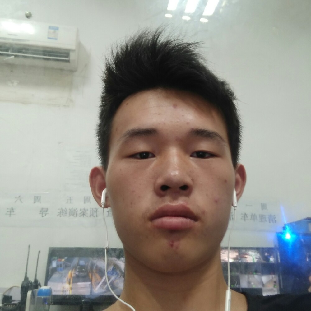 大炮拾忆优美的照片