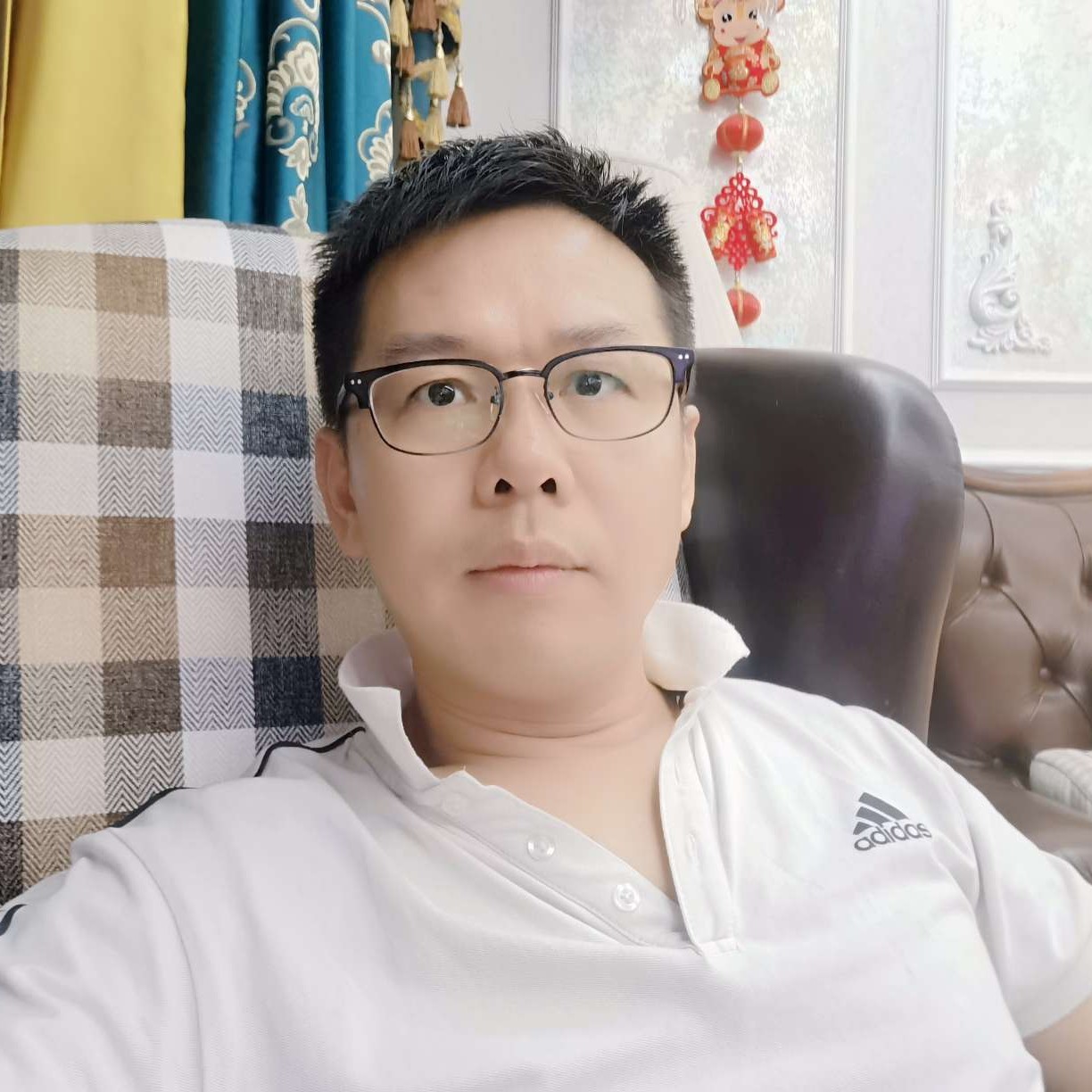 魅力四射的红牛的照片