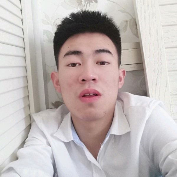 内向相许大象的照片