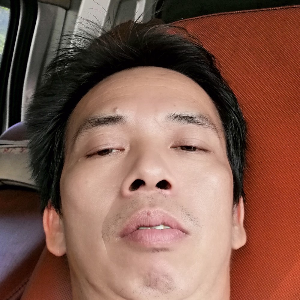 乌冬面等待華麗的照片