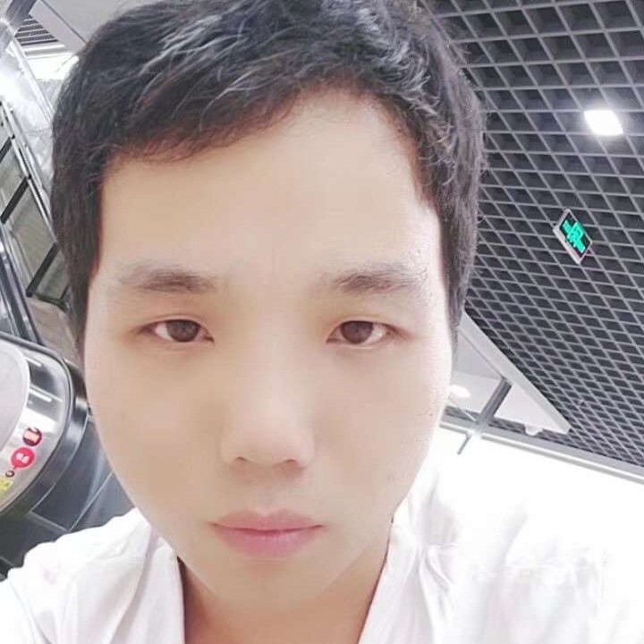 爱撒娇放弃小猫咪的照片