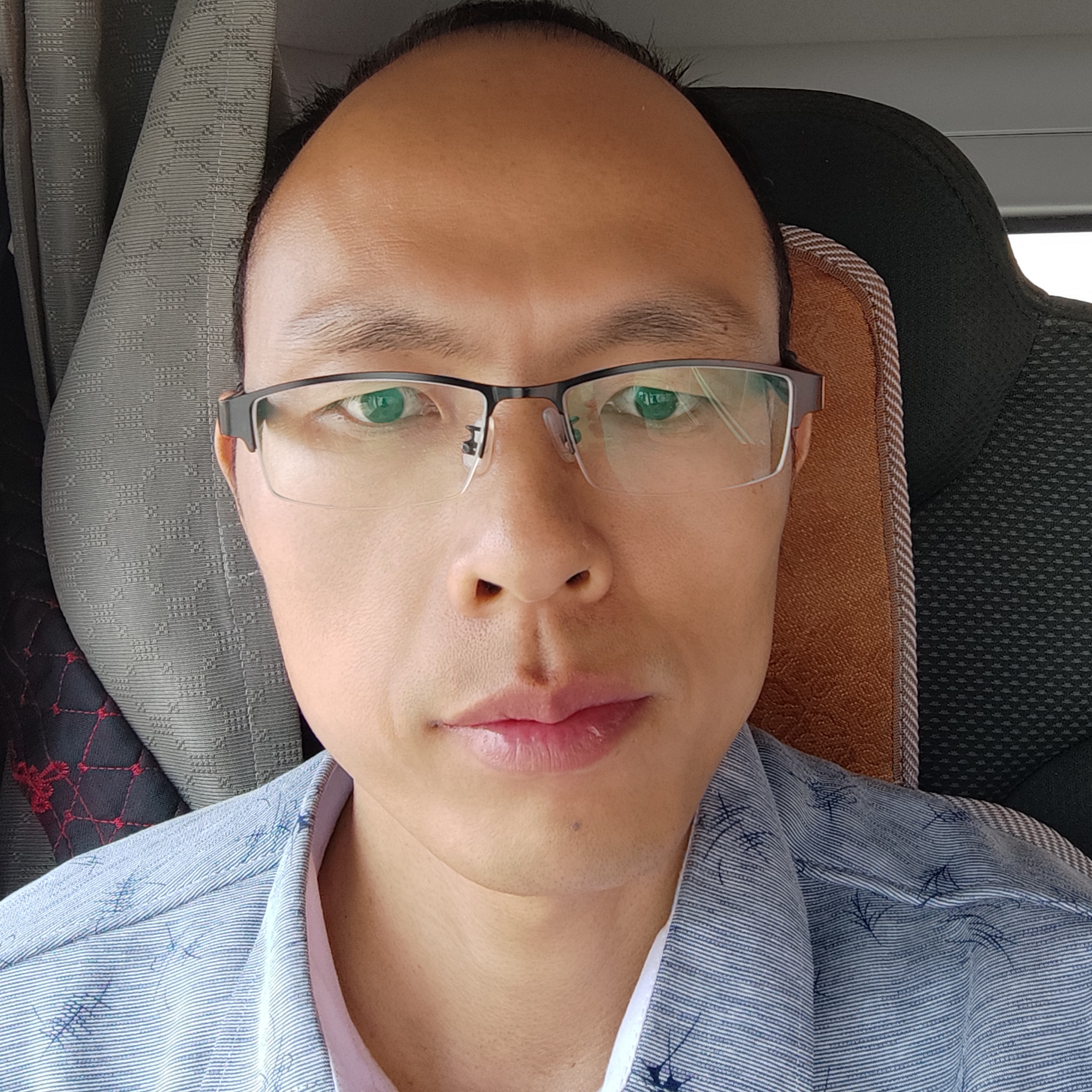 白猫倾心拼搏的照片