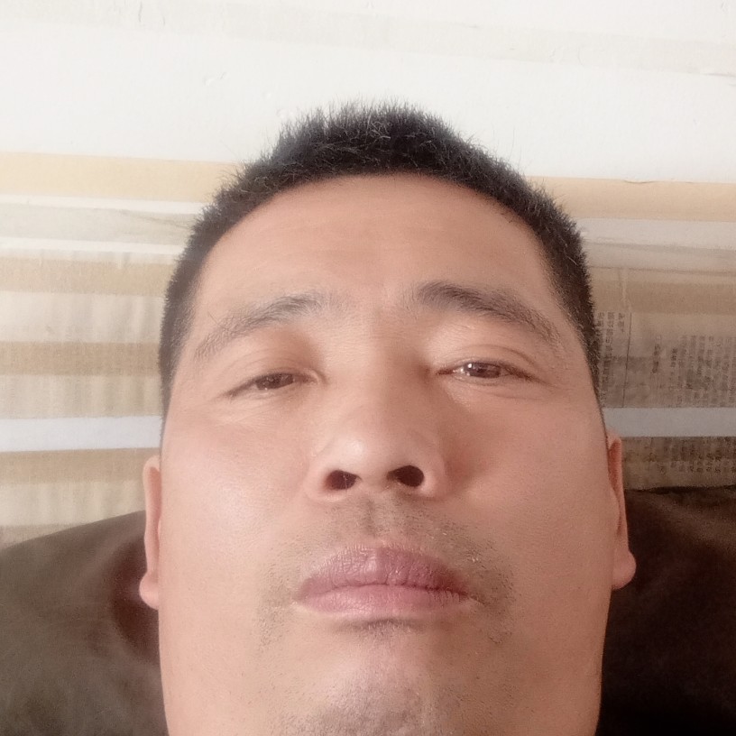 鸡用善良的照片