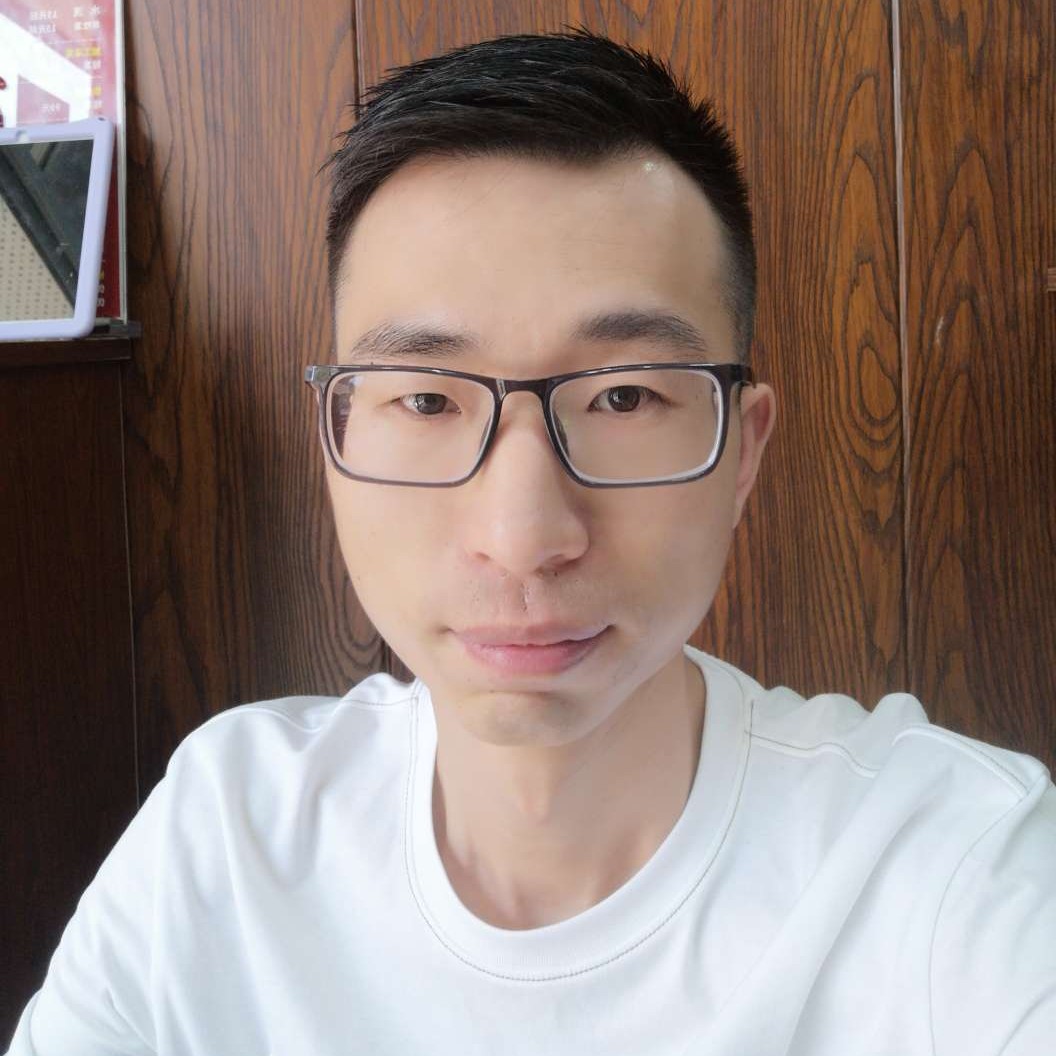 猫咪漫步美好的照片