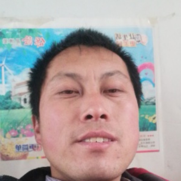 情动的心灵美的照片