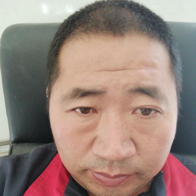 单翅飞翔的照片