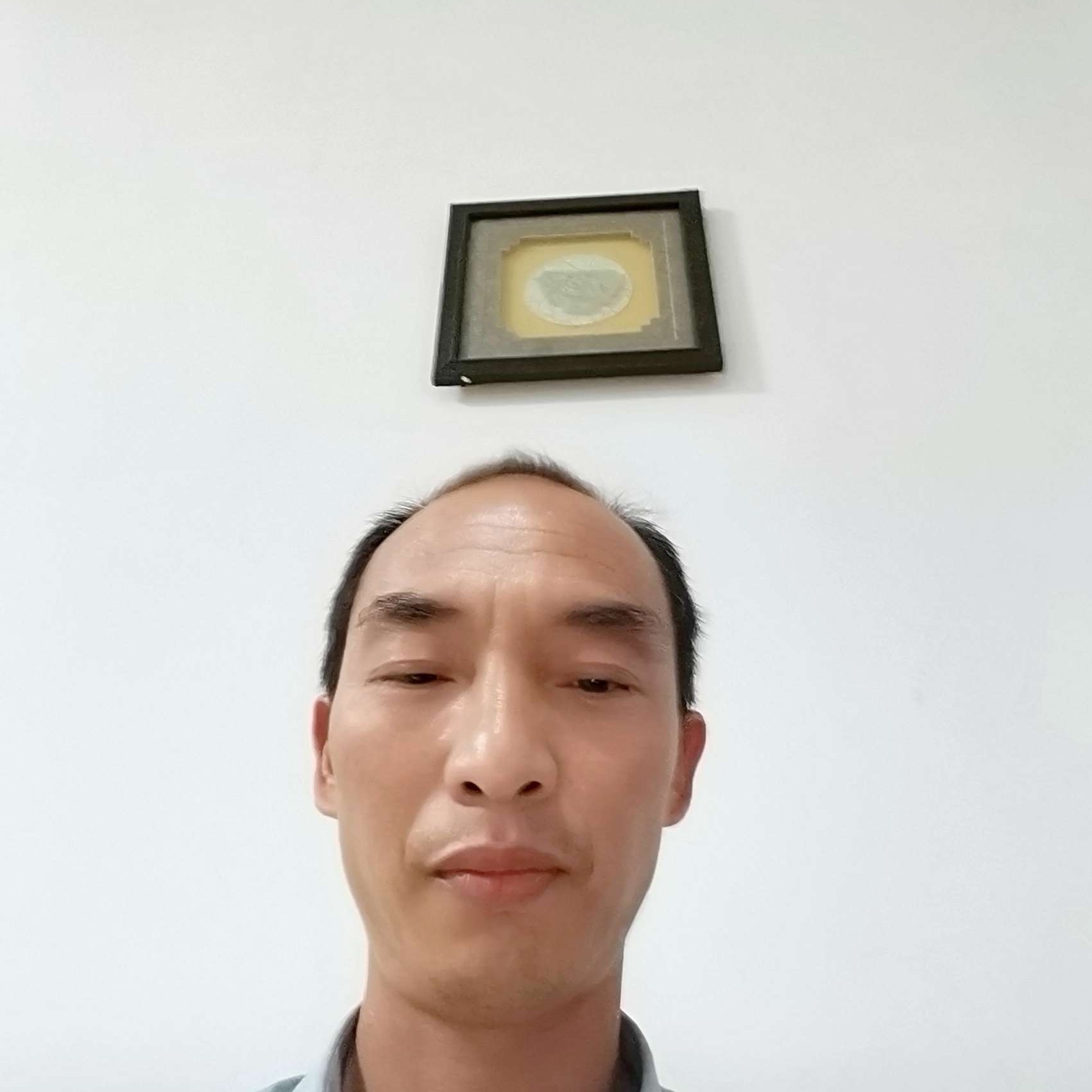 刺猬爱恋留胡子的照片