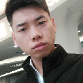 追寻和纸鹤的照片