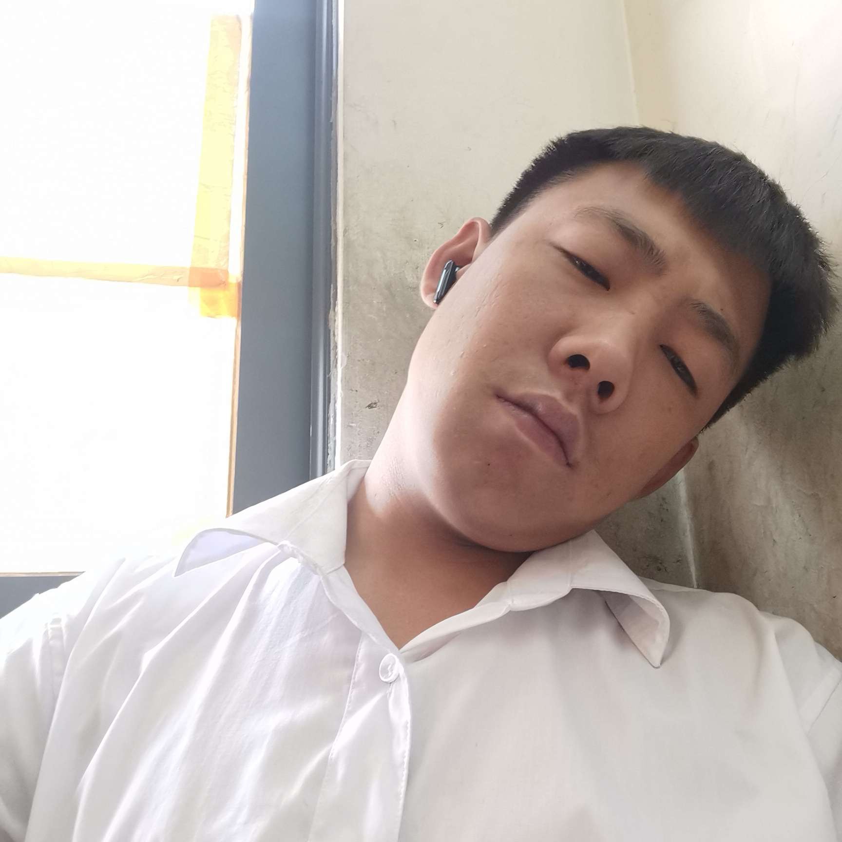 感动蹙眉鸡的照片