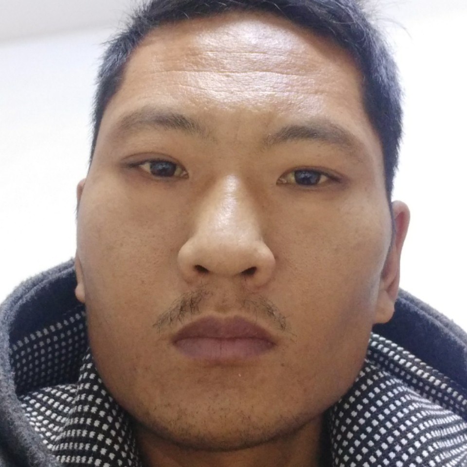 月亮懦弱的照片