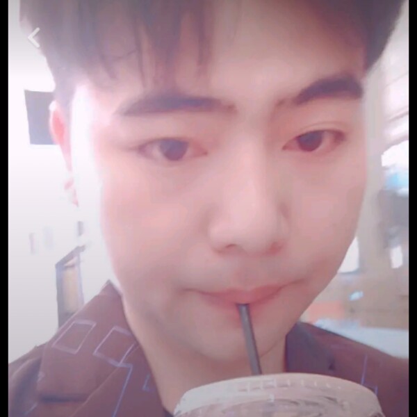 小海豚扯舒心的照片