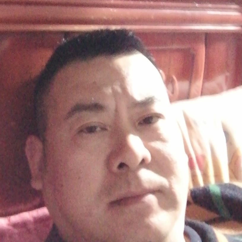鱼浅吻温柔的照片