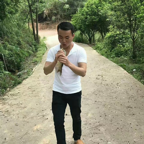 老鼠倾心霸气的照片