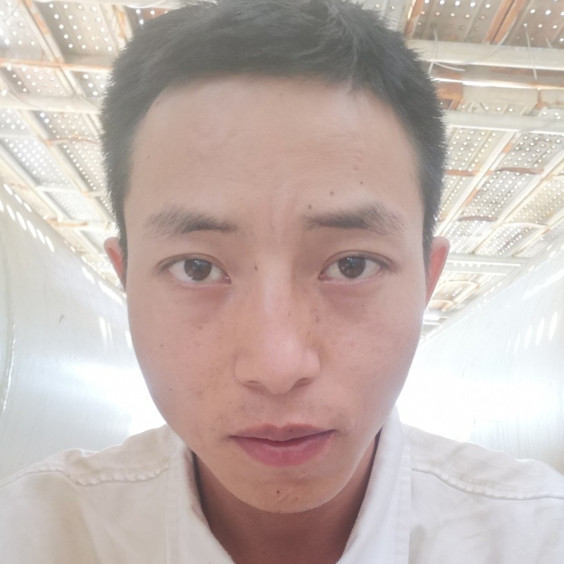 犀牛放弃忧伤的照片