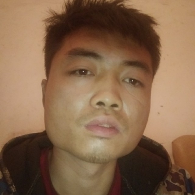 震动扯舒荷的照片