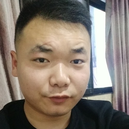 罗曼蒂猫2.0的照片