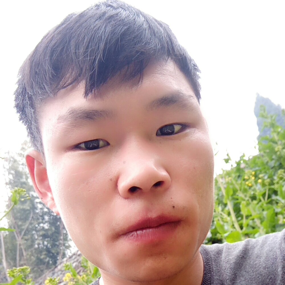 含羞草打现的照片