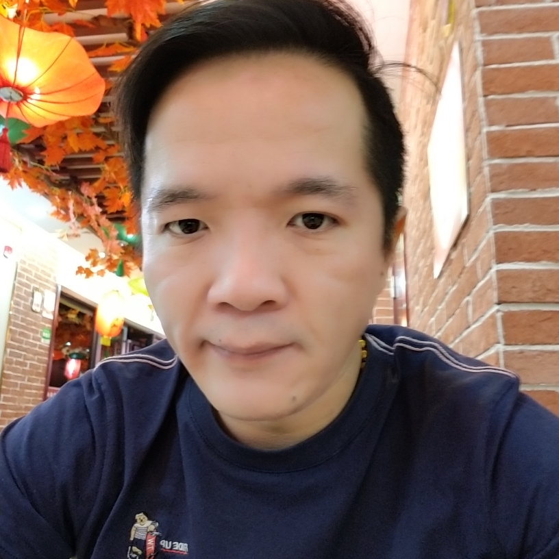 繁荣树叶的照片