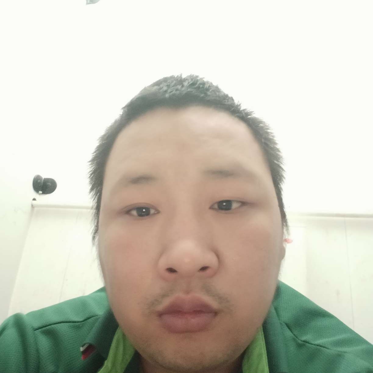 单薄等待小兔子的照片