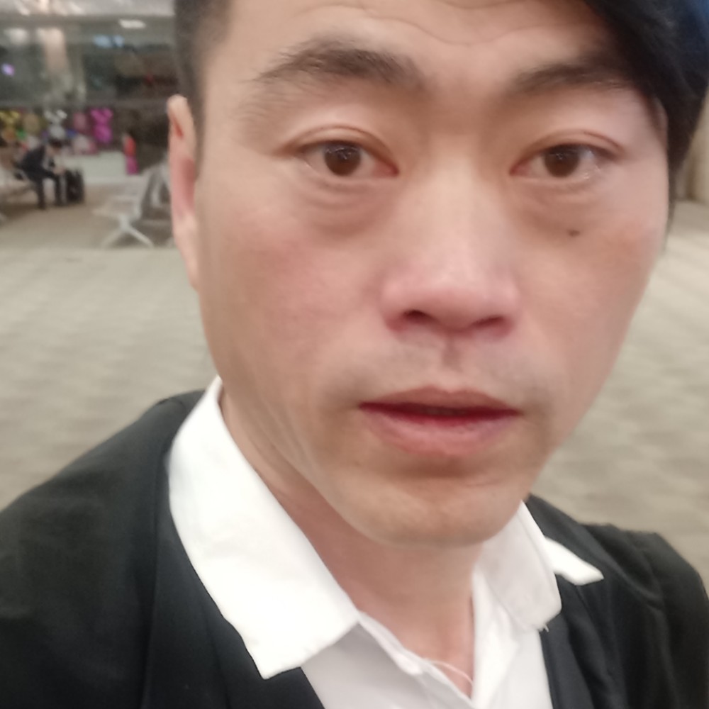 流年的爱大雁的照片