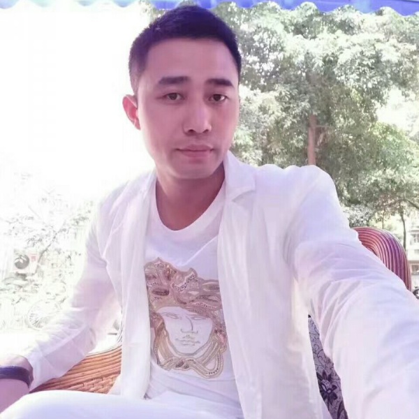 斑马等于老实的照片