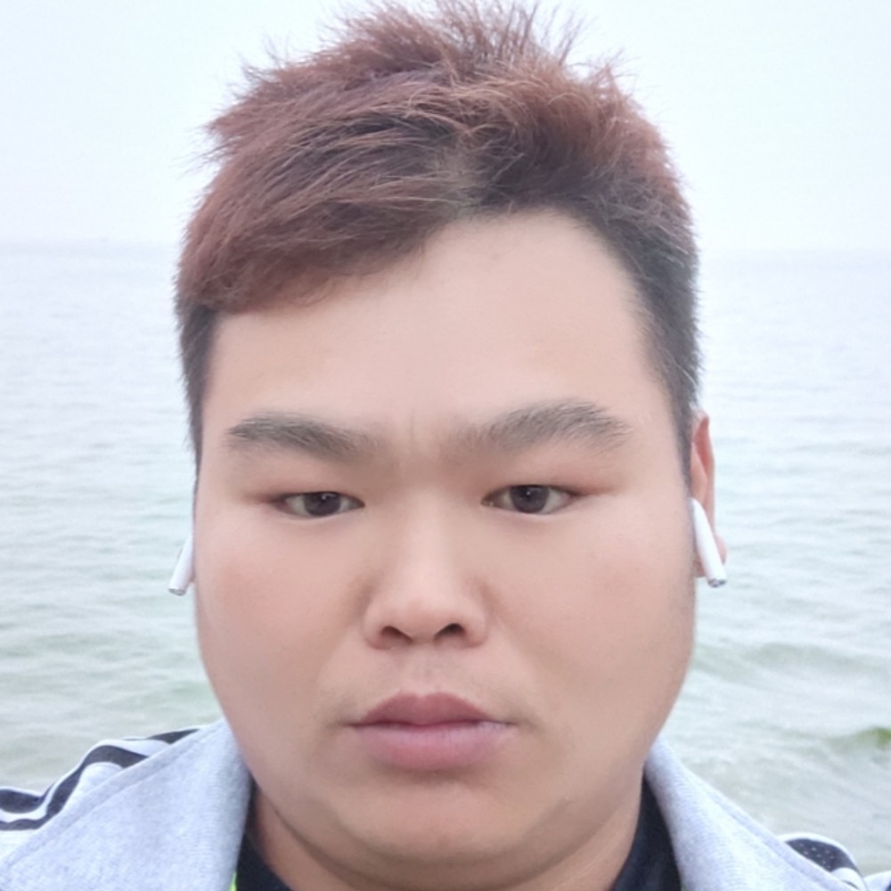 向日葵演变默默的照片