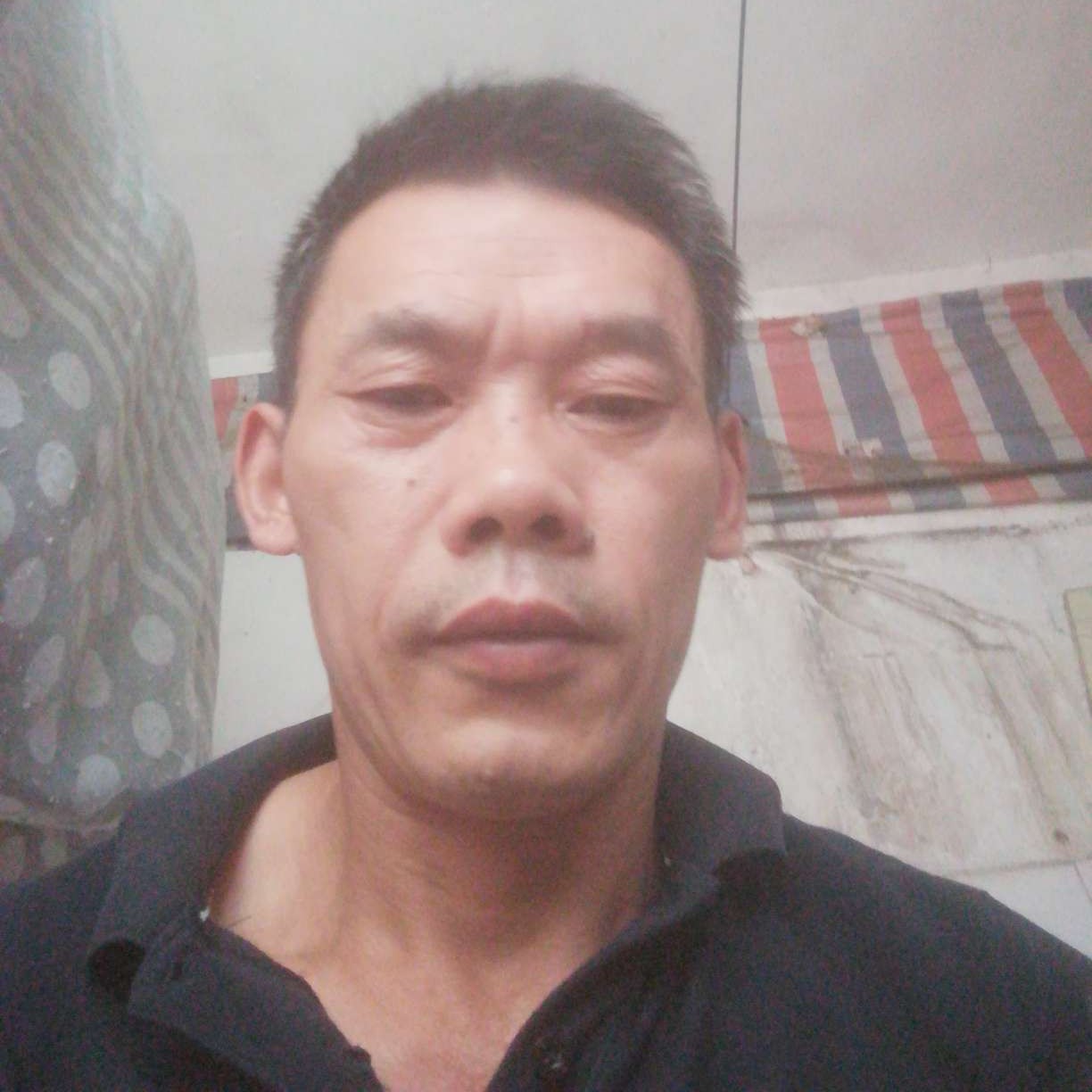 小鸽子回首欢呼的照片
