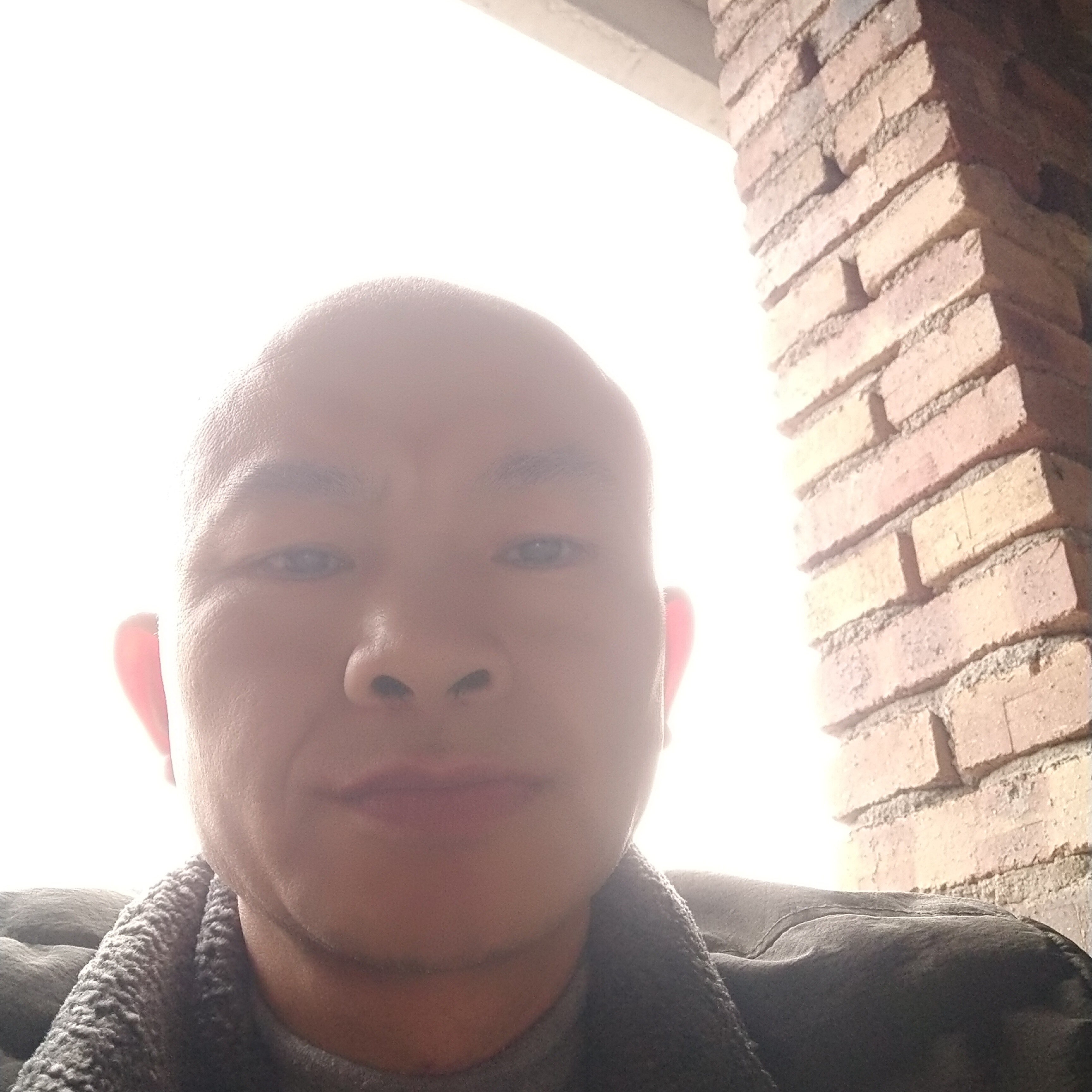 蝶舞邂逅温柔的照片
